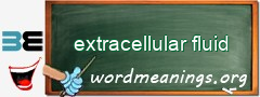 WordMeaning blackboard for extracellular fluid